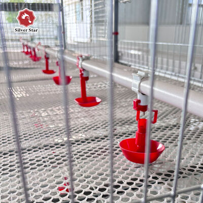 Automatic H-Type Baby Chick Cage System with Hot Dip Galvanizing and Automatic Nipple Drinkers for 100-300 Chickens/set
