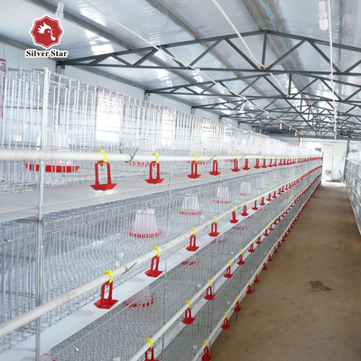 Automatic H-Type Baby Chick Cage System with Hot Dip Galvanizing and Automatic Nipple Drinkers for 100-300 Chickens/set