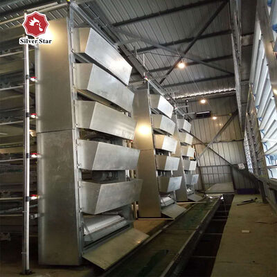 Automated H Frame Egg Production Cage Industrial Anti-corrosion Durable Material Long Service Life Poultry Farming Equipment