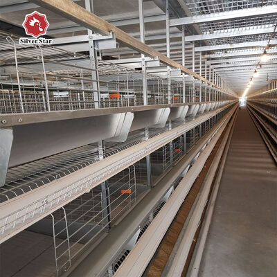 Automated H Frame Egg Production Cage Industrial Anti-corrosion Durable Material Long Service Life Poultry Farming Equipment