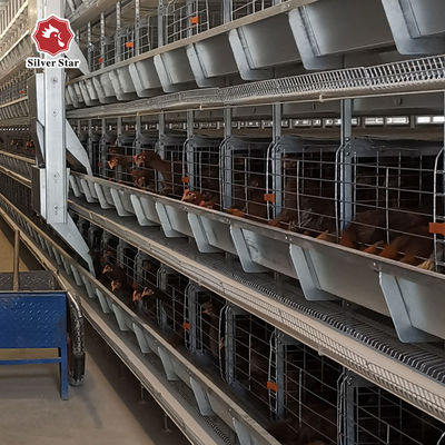 Automatic H-Type Battery Broiler Cage | High-Density Commercial Poultry Farm Feeding Equipment
