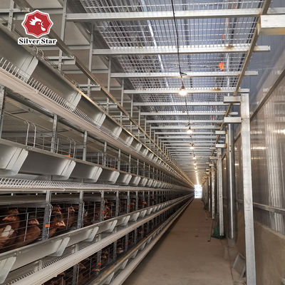 H Type Chicken Feeder Cage Animal Laying Chicken Cages For Broilers And Chicks