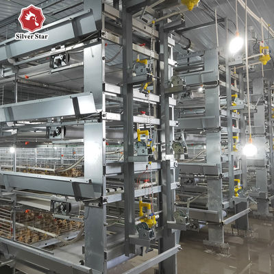Automatic H-Type Battery Broiler Cage | High-Density Commercial Poultry Farm Feeding Equipment