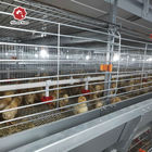 Wire Mesh 60-384 Egg Chicken Cage , HDG Q235 Layer Farming Cage