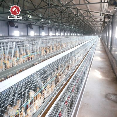 Customized Multi Layer Poultry Cage Automatic Egg Collection Cages