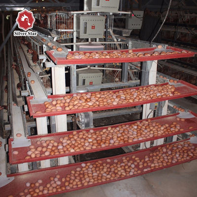 4 Layers 2mm Battery Cage Poultry Egg Collection System ISO9001 Certificated