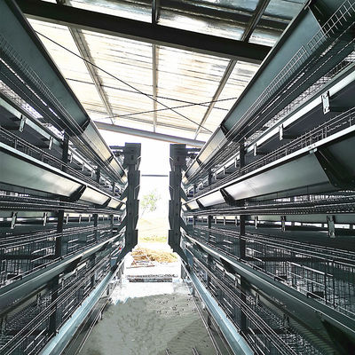 H-Type Automatic Battery Cage System with Hot Dip Galvanizing and Stackable Modular Design for Commercial Egg Layer Farms