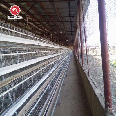 SGS 90-384 Birds Battery Chicken Cage System 1950x2300x1500mm Size