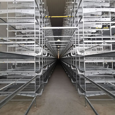 192 Chickens / Set H Type Battery Chicken Cage Chicken Farming Cage Automatic