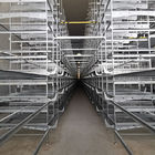 Galvanized 3-10Tiers H Type Layer Cage , 384 Chicken Egg Laying Cages