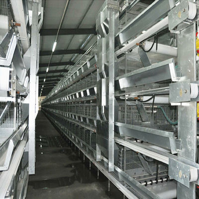H-Type Automatic Battery Cage System with Hot Dip Galvanizing and Stackable Modular Design for Commercial Egg Layer Farms