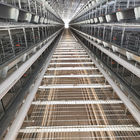 H Type Automatic Layer Cage System , 450cm2/Bird Q235 4 Tier Chicken Cage