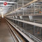 H Type Automatic Layer Cage System , 450cm2/Bird Q235 4 Tier Chicken Cage
