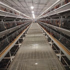 4Tier Chicken Layer Battery Cage Poultry Farming , 192 Birds SGS Poultry Farming Equipment