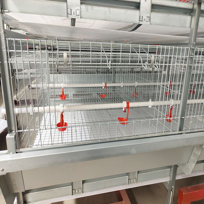 Automated H-Type Broiler Cage System Hot-Dip Galvanized High-Density Commercial Poultry Farming Equipment