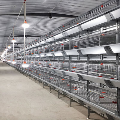 Full Automatic H-Type Meat Broiler Cage System for High-Density Commercial Poultry Farming with Hot-Dip Galvanized Steel