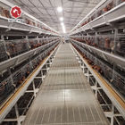 192 Birds / Set Battery Chicken Cage For Broiler Poultry Farming Equipment