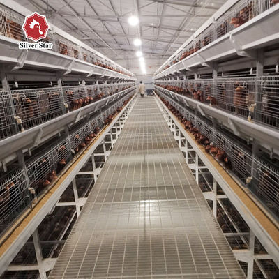 H-Type Automatic Layer Battery Cage System with 15-20 Years Service Life for Commercial Poultry Farming - Fully Automated & Hot-Dip Galvanized