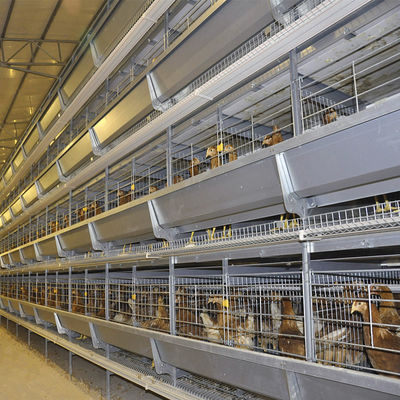 Hot-Dip Galvanized H-Type Layer Cage System Fully Automatic Poultry Farming Equipment with 15–20 Year Lifespan
