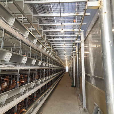 Hot-Dip Galvanized H-Type Layer Cage System Fully Automatic Poultry Farming Equipment with 15–20 Year Lifespan