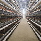 650x625x500mm Hens H Type Layer Chicken Cage Battery System ISO9001