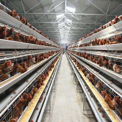 H Shaped Small Stacked Layer Chicken Cage 6 Layers Customized