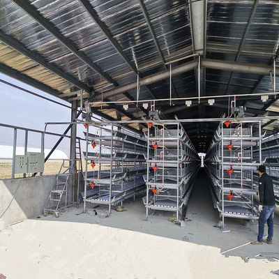 Hot-Dip Galvanized H-Type Layer Cage System Fully Automatic Poultry Farming Equipment with 15–20 Year Lifespan