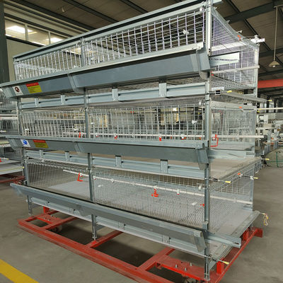 Cold Galvanized Poultry Farm Cages For Broiler Chicken Breeding / Meat Broiler