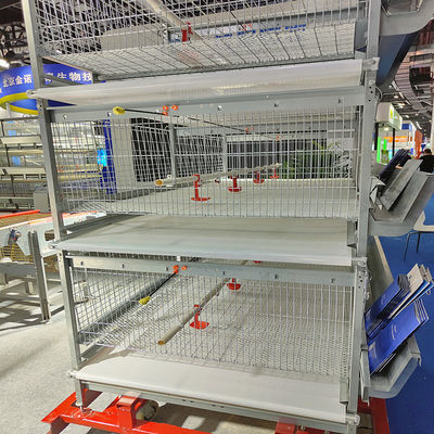 Automated H-Type Broiler Cage System Hot Dip Galvanized High Density Full Automatic Poultry Farming Equipment