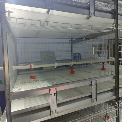 Full Automatic H-Type Meat Broiler Cage System for High-Density Commercial Poultry Farming with Hot-Dip Galvanized Steel