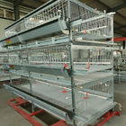 Auto Farm Battery System In Poultry , HDG 150/200 Chicken Broiler Equipment