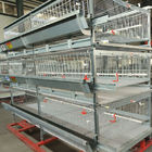 100kgs H Type Battery Broiler Chicken Cage System 120 Birds ISO9001 Listed