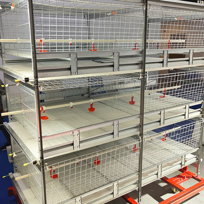 H  Type Frame 4 Tiers Meat Chicken Broiler Cage 136 Birds