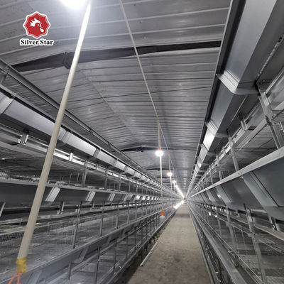 Automated H-Type Meat Broiler Cage System with Hot-Dip Galvanized Steel for High-Density Poultry Farming