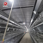 Broilers 4 Tiers 45 Days Chicken Cage Automatic Manure Removal System