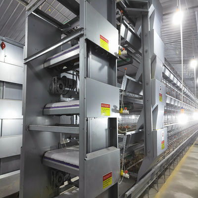 Automated H-Type Broiler Cage System with Hot-Dip Galvanized Steel for High-Density Poultry Farming