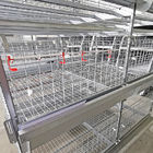 45 Days 4 Floors H Frame Broiler Chicken Cage With Automatic Feeder