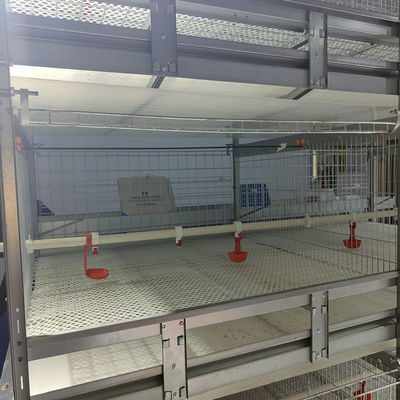 Fully Automated Hot-Dip Galvanized H-Type Broiler Cage System for High-Density Poultry Farming
