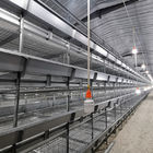 Pullet Rearing Q235 Modern Hen Cage , SONCAP 90days Poultry Raising Equipment
