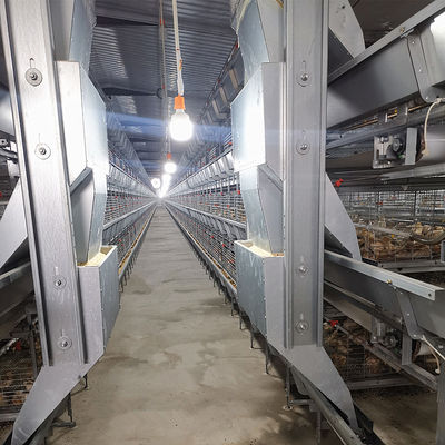 Pullet Rearing Q235 Modern Hen Cage , SONCAP 90days Poultry Raising Equipment