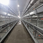 H Type Automatic Poultry Cage For Chicken ，Broiler Cage