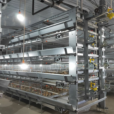 Hot Dip Galvanized Automatic Broiler Battery Cage System for 100-300 Chickens with Automatic Feeding Trough