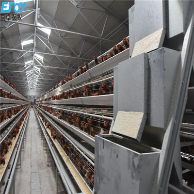 Customized Multi Layer Poultry Cage Automatic Egg Collection Cages