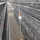 108-144Birds Poultry Cage 3-4Layers Broiler Raising Equipment