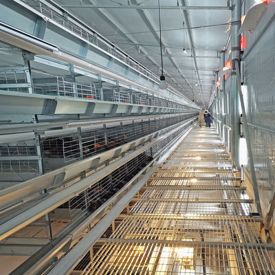 Hot  Galvanized Automatic A Type H Type Chicken Cages Layer For Poultry Cage