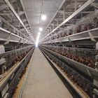 2.5mm 3Rows Battery Poultry Cage For Hen Farming Livestock Equipment