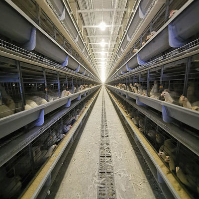 ISO9001 Poultry Cage