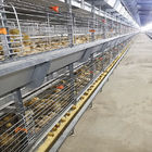 Q235 Steel Broiler Cage System , 108-144 Birds 4 Tier Layer Cage