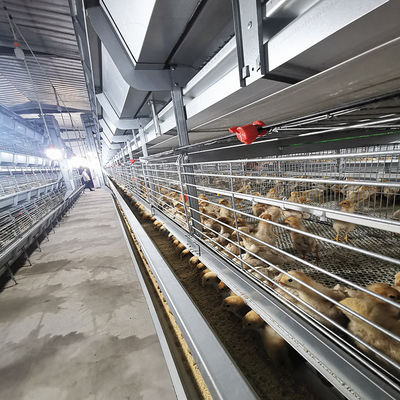 Battery 192 Birds Layer Hen Cage , SGS W1200mm Broiler Poultry Equipment