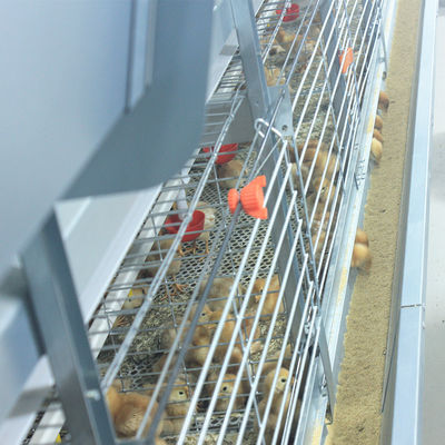 Fully Automatic Hot-Dip Galvanized H-Type Broiler Chicken Cage for High-Density Poultry Farming
